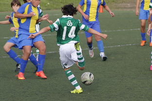 mk体育登录-判罚一边倒，但格里马尔多说我们用团队力量改写结果